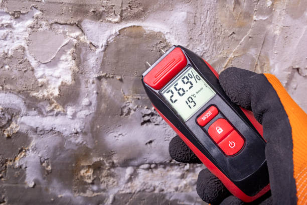 Best Emergency Mold Removal  in Skippers Corner, NC